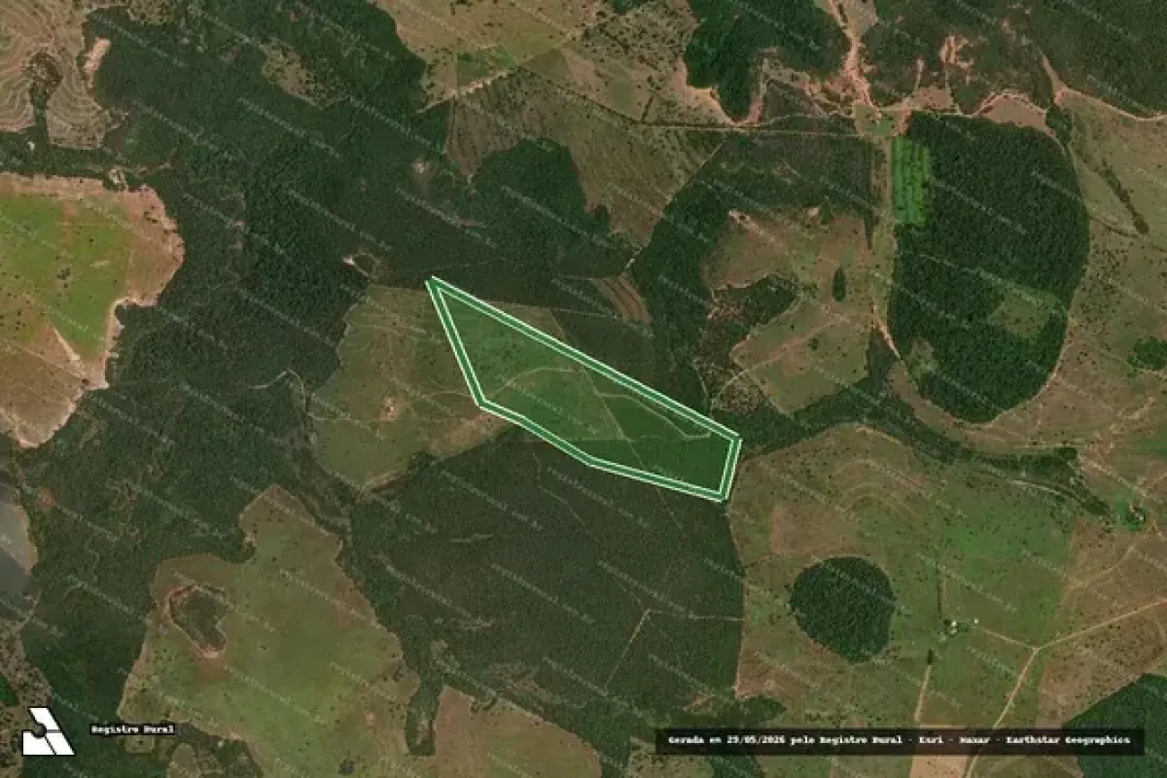 Ilustração da notícia MP apura desmatamento irregular em fazenda de Alcinópolis e abre inquérito civil da MS Todo dia